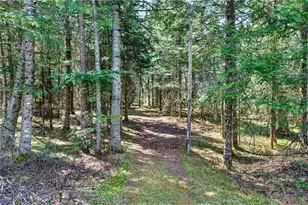 8225 Blaisdell Lake Rd, Winter, WI 54896 - Photo 41