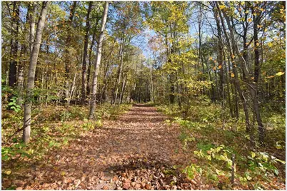 4899 County Road A, Webster, WI 54893 - Photo 47