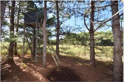 4899 County Road A, Webster, WI 54893 - Photo 45