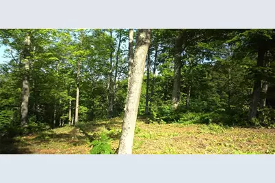 83Xxx - Lot 12 Ashwabay Road, Bayfield, WI 54814 - Photo 11