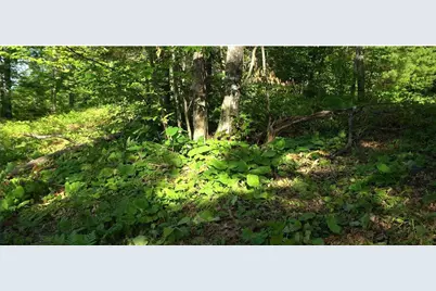 83Xxx - Lot 13 Ashwabay Road, Bayfield, WI 54814 - Photo 11