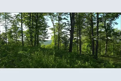 83Xxx - Lot 11 Ashwabay Road, Bayfield, WI 54814 - Photo 11