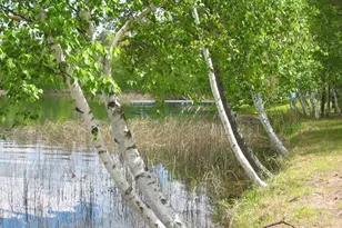 W8804 Deeper Lake Rd, Minong, WI 54859 - Photo 21