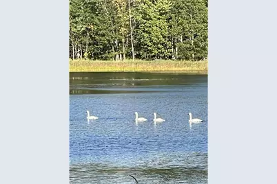 N3260 Starkey Lake Road, Shell Lake, WI 54871 - Photo 17