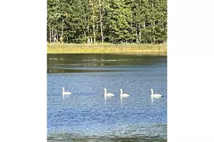 N3260 Starkey Lake Rd, Shell Lake, WI 54871 - Photo 17