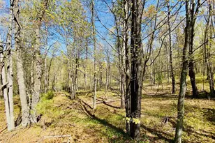 1297 Dock Lake Rd, Spooner, WI 54801 - Photo 35