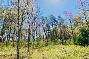 1297 Dock Lake Rd, Spooner, WI 54801 - Photo 37