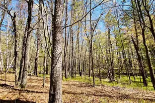1297 Dock Lake Rd, Spooner, WI 54801 - Photo 25