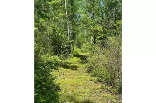 N7642 Crooked Rd, Ladysmith, WI 54848 - Photo 31