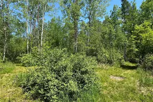 N7642 Crooked Rd, Ladysmith, WI 54848 - Photo 33