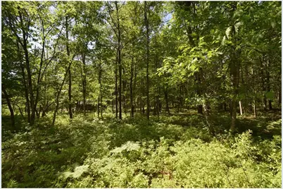 29093 Deerpath Pass, Jackson Township, WI 54830 - Photo 75