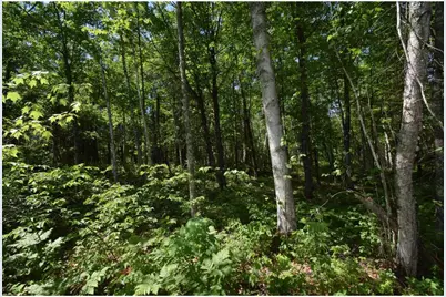 29093 Deerpath Pass, Jackson Township, WI 54830 - Photo 43