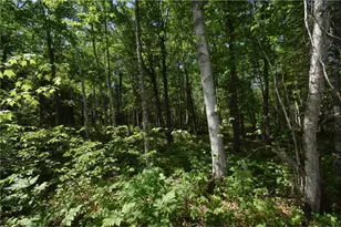 29093 Deerpath Pass, Jackson Township, WI 54830 - Photo 43