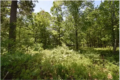 29093 Deerpath Pass, Jackson Township, WI 54830 - Photo 73