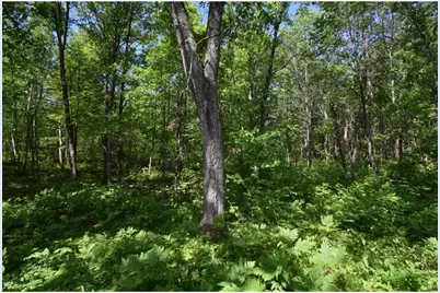 29093 Deerpath Pass, Jackson Township, WI 54830 - Photo 47