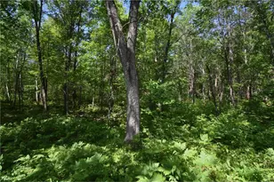 29093 Deerpath Pass, Jackson Township, WI 54830 - Photo 47