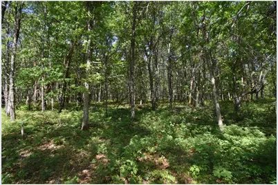 29093 Deerpath Pass, Jackson Township, WI 54830 - Photo 63
