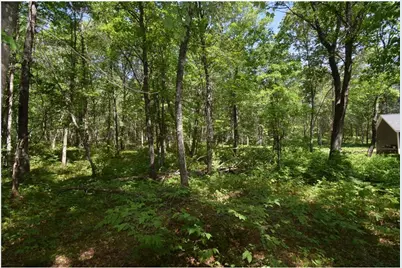 29093 Deerpath Pass, Jackson Township, WI 54830 - Photo 49