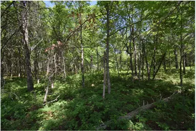 29093 Deerpath Pass, Jackson Township, WI 54830 - Photo 61