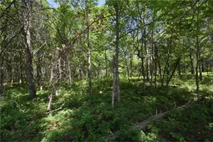 29093 Deerpath Pass, Jackson Township, WI 54830 - Photo 61