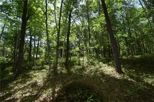 29093 Deerpath Pass, Jackson Township, WI 54830 - Photo 51