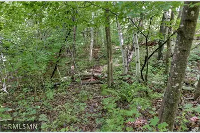 124Xx N Gabrielson Lake Road, Luck, WI 54853 - Photo 13