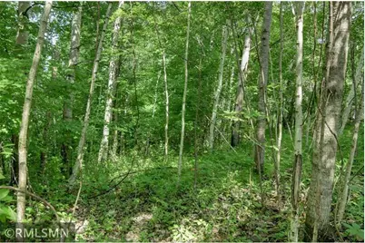 124Xx N Gabrielson Lake Road, Luck, WI 54853 - Photo 15