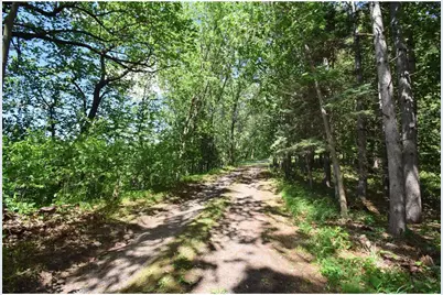 20907 Erickson Lane, Grantsburg, WI 54840 - Photo 73