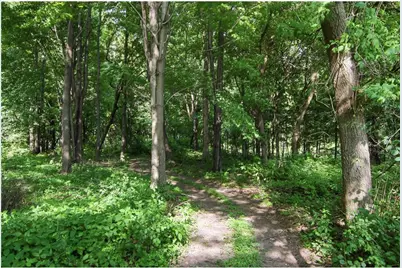 E5443 470th Avenue, Menomonie, WI 54751 - Photo 39