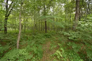 7689 Wood Ln, Webster, WI 54893 - Photo 43