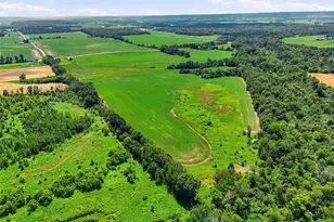 N1405 County Rd Z, Eau Galle, WI 54737 - Photo 23