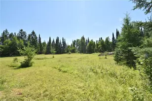 14622 S Swedish Hwy, Dairyland, WI 54830 - Photo 73