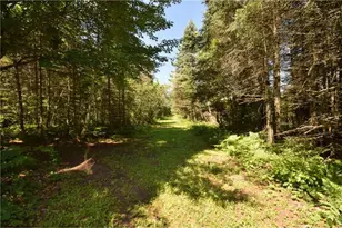 14622 S Swedish Hwy, Dairyland, WI 54830 - Photo 71