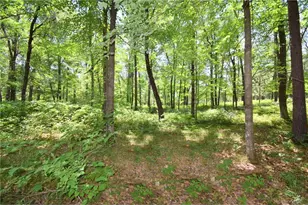 29774 Little Bear Dr, Webb Lake, WI 54830 - Photo 63