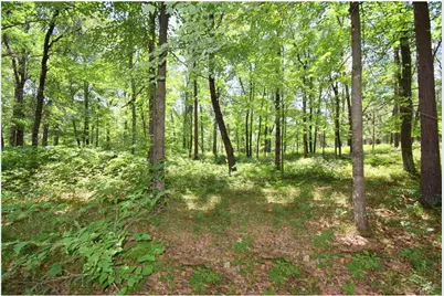 29774 Little Bear Drive, Danbury, WI 54830 - Photo 47