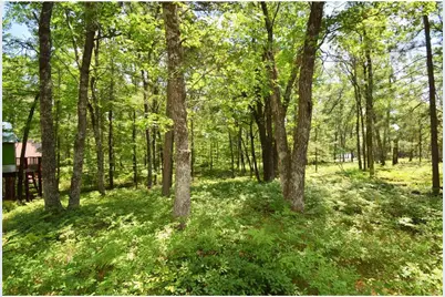 29774 Little Bear Drive, Webb Lake, WI 54830 - Photo 65
