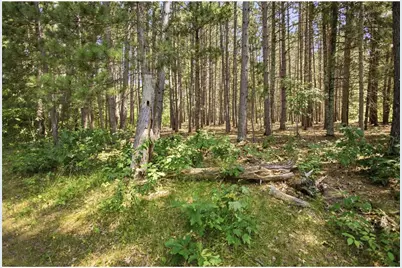 26670 Foxes Landing Road, Grantsburg, WI 54840 - Photo 67