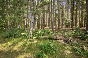 26670 Foxes Landing Rd, Grantsburg, WI 54840 - Photo 67