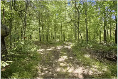 26670 Foxes Landing Road, Grantsburg, WI 54840 - Photo 5