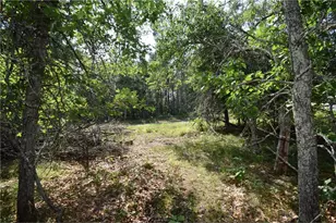 31075 N Bass Lake Rd, Swiss Township, WI 54830 - Photo 59