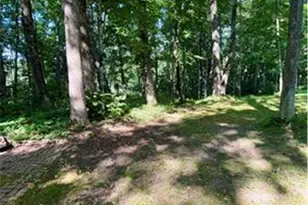 N2595 Flambeau River Ln, Ladysmith, WI 54848 - Photo 39