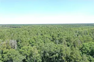 14662 Oeltjen Rd, Anderson Township, WI 54840 - Photo 7