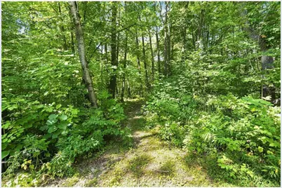 1256 26 1/2 Avenue, Sumner Township, WI 54868 - Photo 37