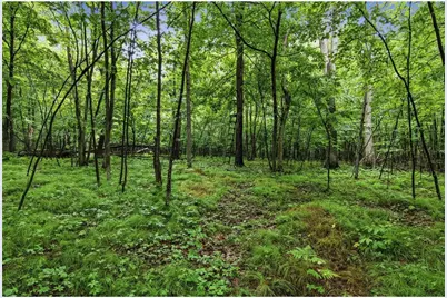 Lot 1 4th Street, Clayton, WI 54004 - Photo 15