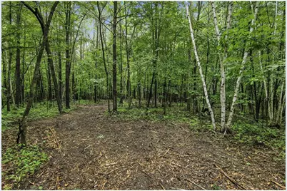 Lot 1 4th Street, Clayton, WI 54004 - Photo 13