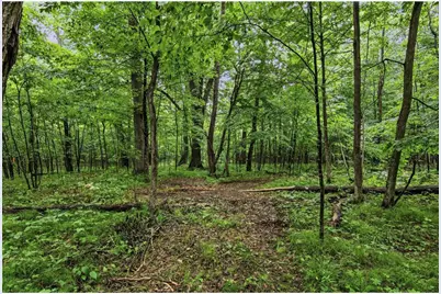 Lot 1 4th Street, Clayton, WI 54004 - Photo 11