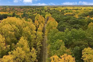 24771 Swede Rd, Webster, WI 54893 - Photo 41