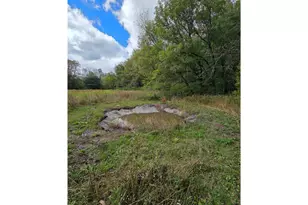 W4421 825th Ave, Spring Valley, WI 54767 - Photo 39