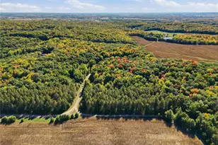 N6587 State Road 40, Elk Mound Township, WI 54739 - Photo 57