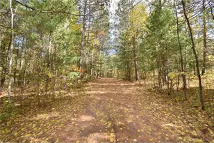 31792 Airfield Rd, Danbury, WI 54830 - Photo 55
